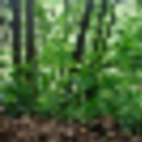 242902230_4552402771483582_6358520391740933993_n__resize-thumb