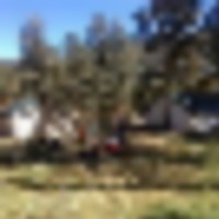 Southern Colorado Outfitting Business NO DEEDED LAND