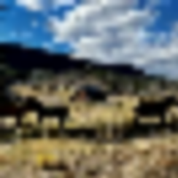 Yellow Jacket Creek Ranch
