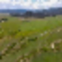 10996 County Road 331 Silt CO 81652 images 1