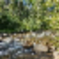 Salida Colorado Riverfront Lot 19039 Monarch River Dr