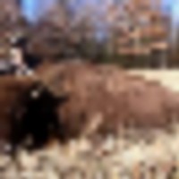 259568_10151298306904855_1152046103_o1__resize-thumb