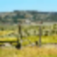 K Ranch images 1