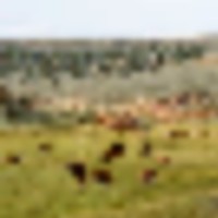 K Ranch images 4