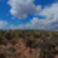 Costilla County 320 - images 1