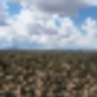 Costilla County 320 - images 3