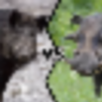 26a9408a-8e05-4bb2-a73d-3915f56a9eeb__resize-thumb