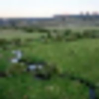Elk Flats on Tomichi Creek images 1