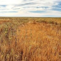 Crum Farm For Sale Property