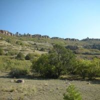 T Bar Ranch