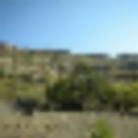 T Bar Ranch