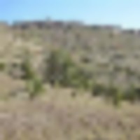 T Bar Ranch images 3