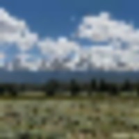 Lake Fork Ranch images 5