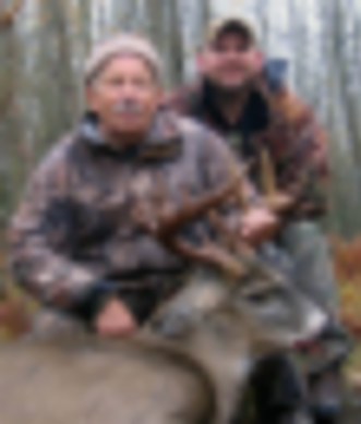 Beautiful Deer Hunting Land 260 Acres in Lake, MI images 2