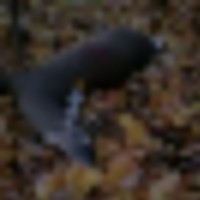 2__resize-thumb