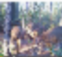 2__resize-thumb