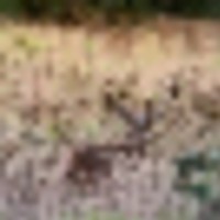 2__resize-thumb