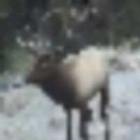 2_bar_ranch_3__resize-thumb