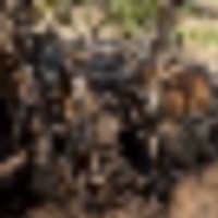 2b405948-3957-4cde-b625-744aeb49d56a-2__resize-thumb