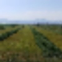 L Cross Ranch images 2