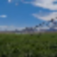 L Cross Ranch images 3