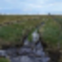 L Cross Ranch images 5