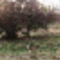 316100873_10228035613466451_6624815289578196248_n__resize-thumb