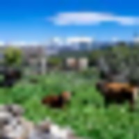 Molina Farm images 1