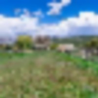 Molina Farm images 4