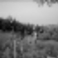 32__282_29__resize-thumb