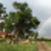 Hunting Property For Sale Colorado Mountains Working Ranch