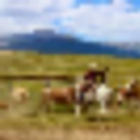 Reinecker Ridge Ranch images 1