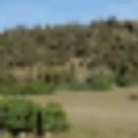 Reinecker Ridge Ranch images 3