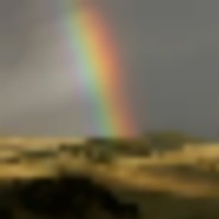 Reinecker Ridge Ranch images 5