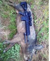 Beautiful Hog hunting land in Alapaha, GA