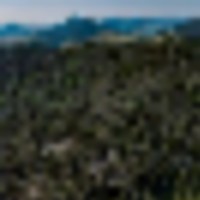 Saddle Mountain Ranch Guffey Colorado images 4