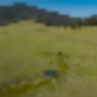 Saddle Mountain Ranch Guffey Colorado images 5