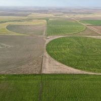 Baca Prowers County 7 Irrigated Quarters