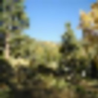Forbes Park 2.5 acres images 2