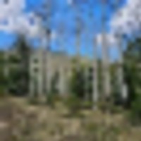 Forbes Park 2.5 acres images 3