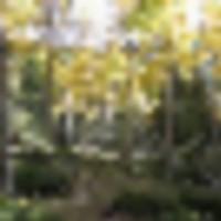 Forbes Park 2.5 acres images 4