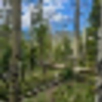 Forbes Park 2.5 acres images 5