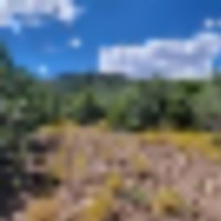 Beautiful 80 acre hunting area. Centraly located in GMU-10 hunting zone.