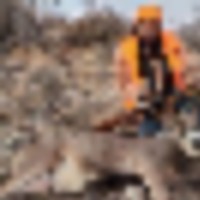 36974__resize-thumb
