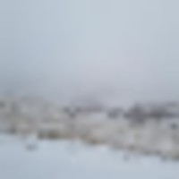 36977__resize-thumb