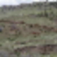 36978__resize-thumb
