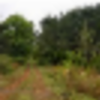 36__resize-thumb