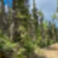 104 Acres available outside of Ouray images 4