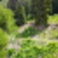 104 Acres available outside of Ouray images 5