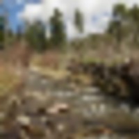 HWY 12 Cabin near Monument Lake images 4